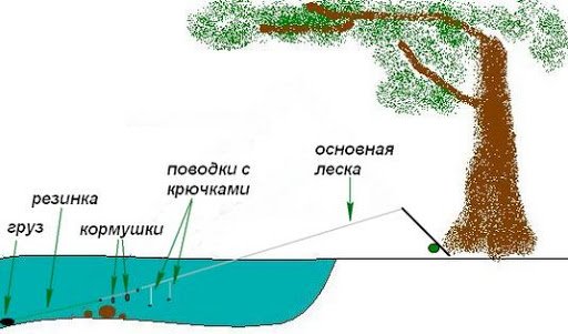 ловля карася весной: когда начинает резать, на что ловить и какую оснастку использовать