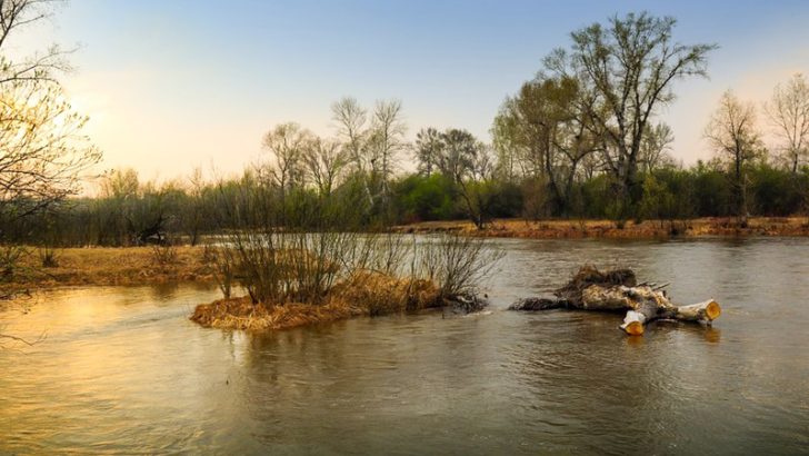 Рыбалка на реке Ока: отчеты 2022, карта рыболовных мест