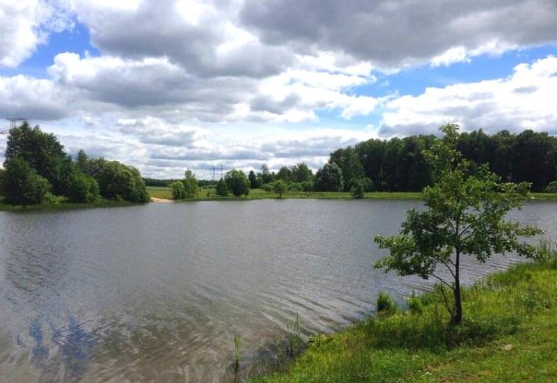 Рыбный пруд Васюнино Московская область