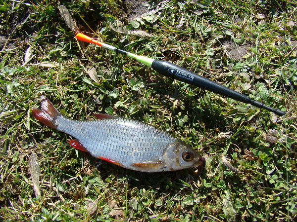 снасти для речной рыбалки