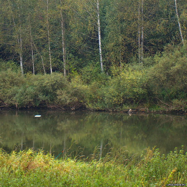 речная рыбалка