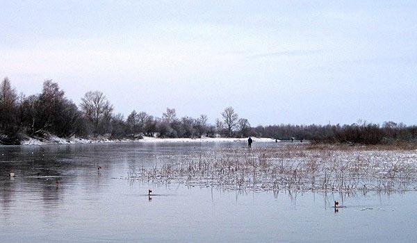 Рядом с камышами