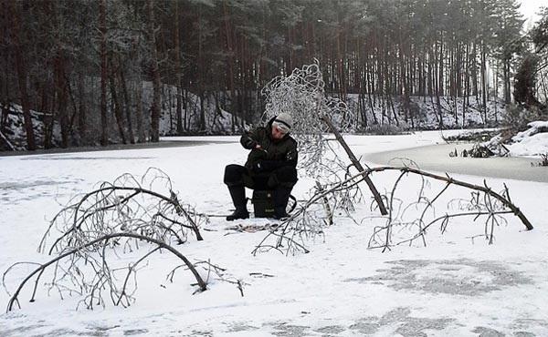 затопленные кусты