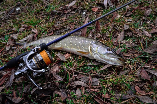 Спиннинговая рыбалка