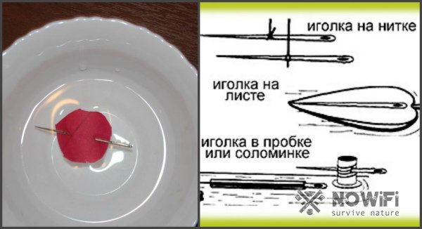 Использование иглы для нахождения сторон света