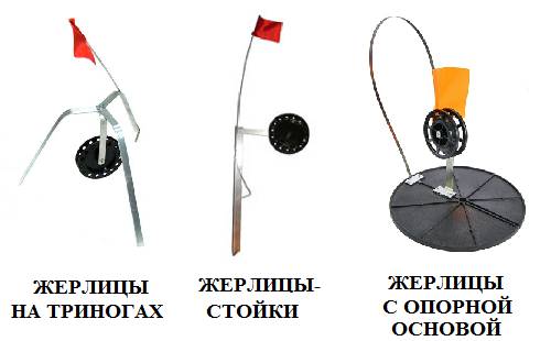 види-жерлиц