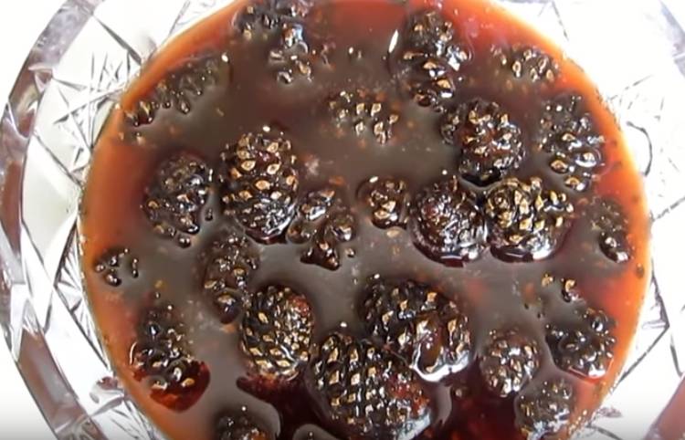 Варенье из сосновых шишек: ТОП-13 самых вкусных рецептов приготовления