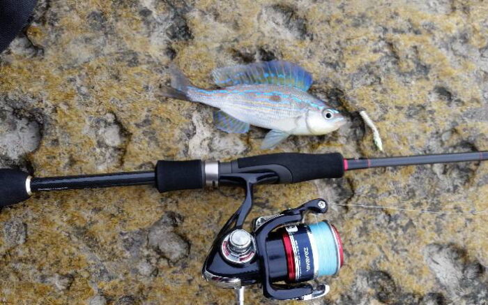 Рыбалка на Черном море