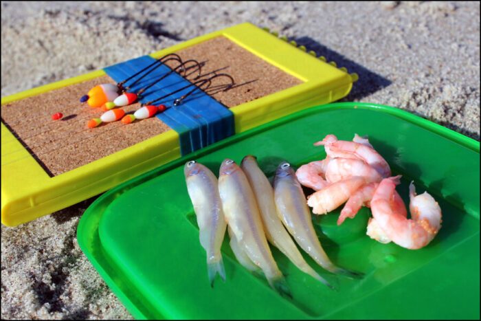 Рыбалка на Черном море