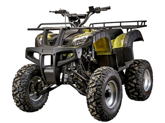 ТОП-35 Лучших квадроциклов в 2023 году (обзор моделей)