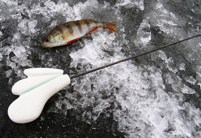 зимняя удочка на окуня на мигание своими руками фото 2