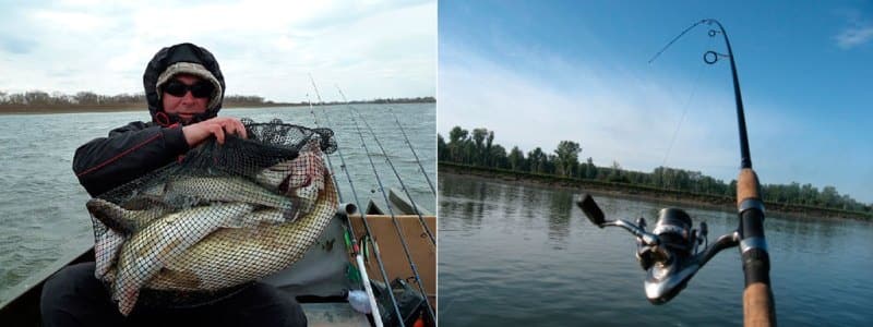 Спиннинг на судака выбор лучшей модели