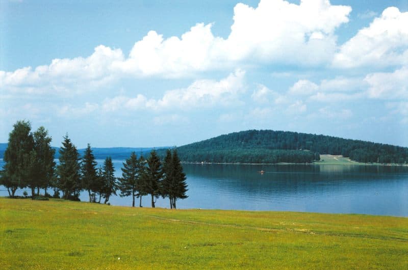 Прогноз клева рыбы в Свердловской области на завтра, 5 дней, неделю