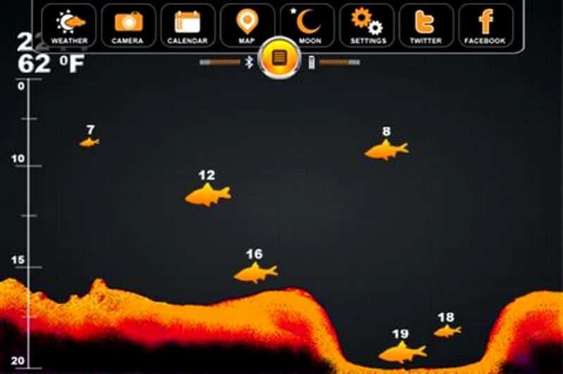 Дно на экране эхолота