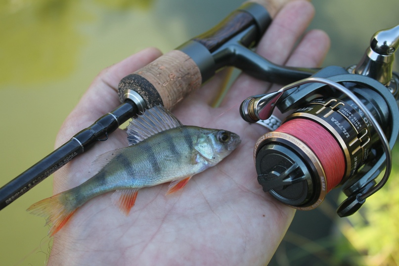 Спиннинг для мормышинга