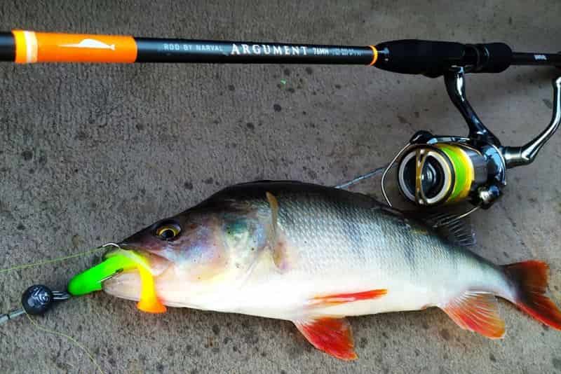 Narval Argument (Нарвал Аргумент) отзывы, цена, обзор, где купить