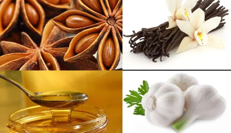 Ловля карпа на поплавочную удочку: выбор снасти, оснастки, прикормок и наживок