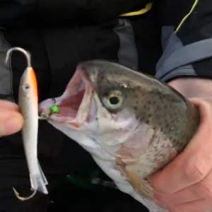 Балансир и форель