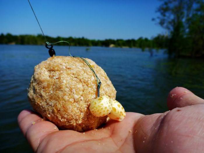 Наживка для Белого Амура