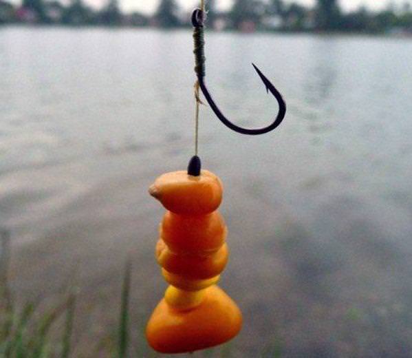 Наживка с кукурузой на белого Амура