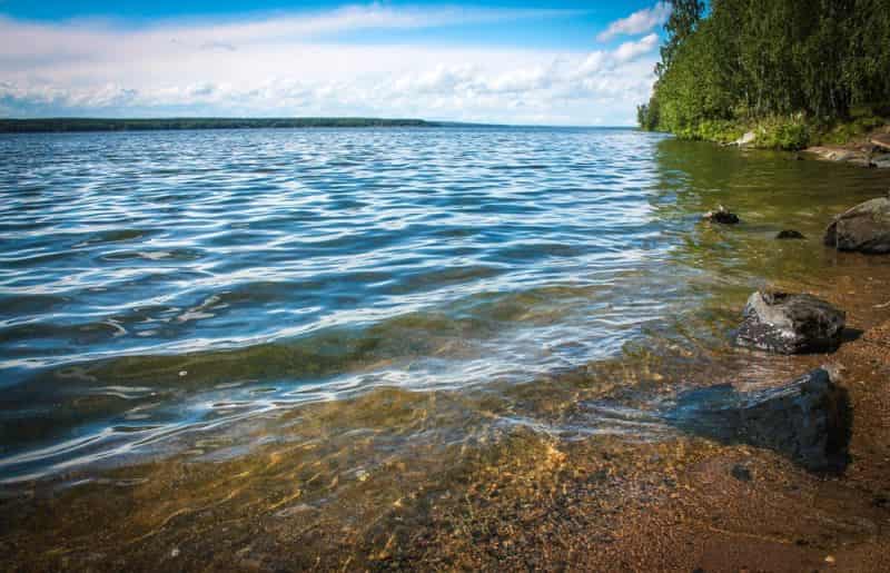 Прогноз клева рыбы в Свердловской области на завтра, 5 дней, неделю