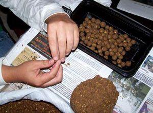 Ловля карпа на бойлы: как сделать бойлы, выбор оснасток, ловля весной, летом и осенью