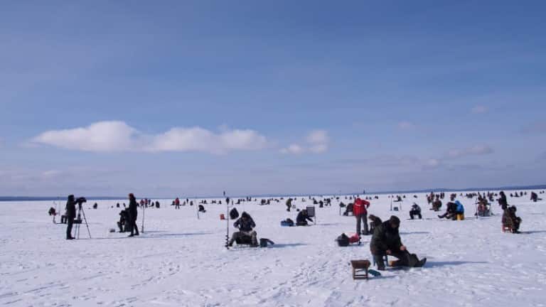 Прогноз клева на Шакше - озера Шакша клев