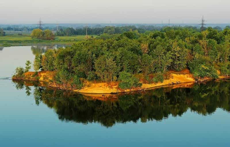 Уровень воды в реке Сож сегодня