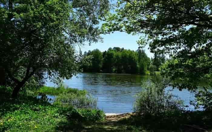 Прогноз клева рыбы в Смоленской обл и Смоленске на сегодня, завтра, 3 дня