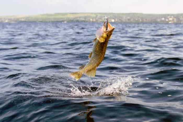 Прогноз клева рыбы в Челябинской области и Челябинске