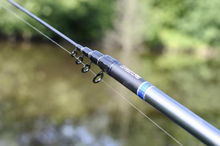 Рейтинг лучших болонских удилищ ТОП 10