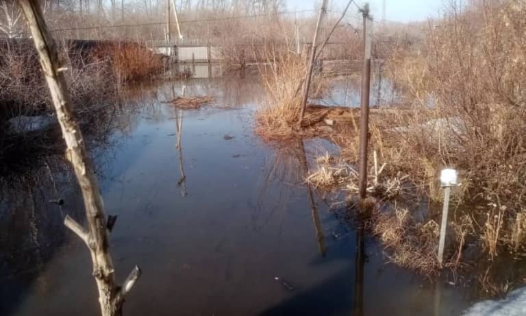 Уровень воды в Камне на Оби сегодня