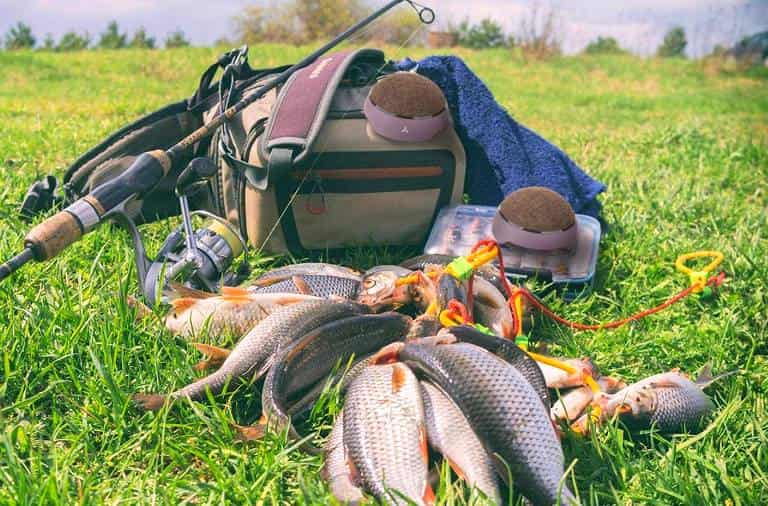 Прогноз клева рыбы в Пинске на сегодня, завтра и неделю