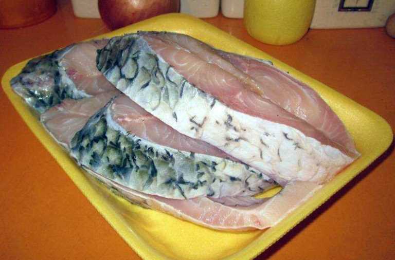 Белый амур что за рыба, фото, где водится, костлявая, польза