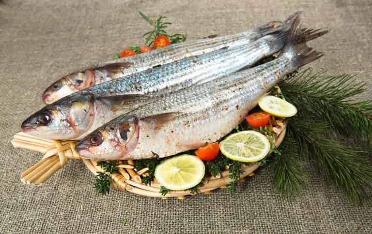 Кефаль что за рыба, как готовить, много ли костей, рецепты