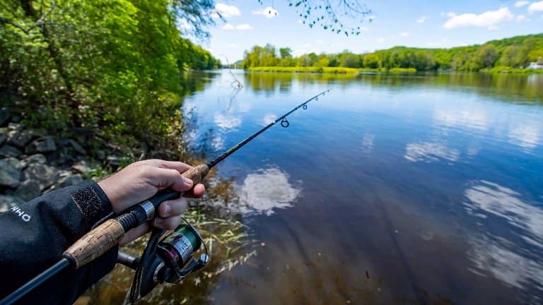 Какой ветер самый лучший для рыбалки и какой плохой