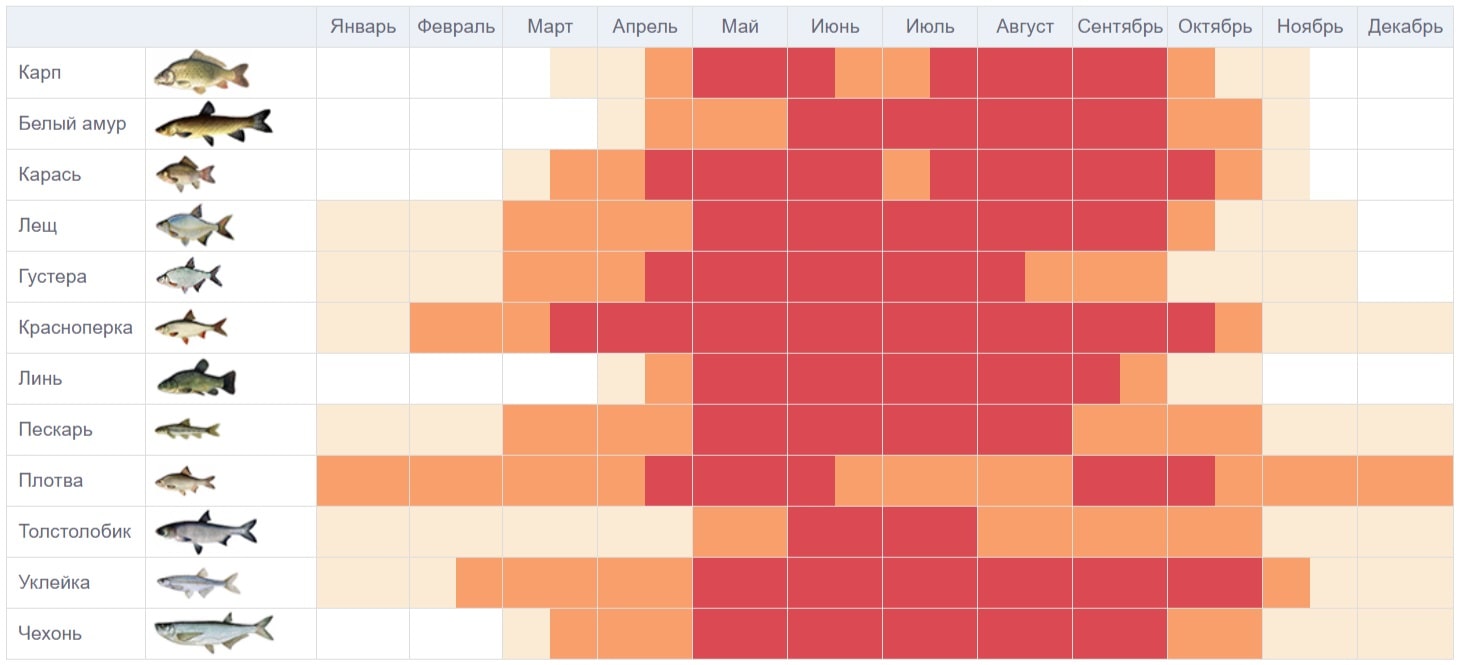 Календарь рыболова на год по дням и месяцам
