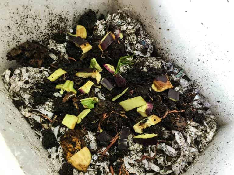 Как сохранить червей для рыбалки в домашних условиях подольше