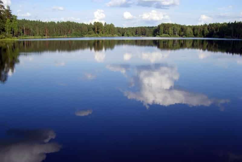 Платная рыбалка в Нижегородской области, Дзержинске, Криуши