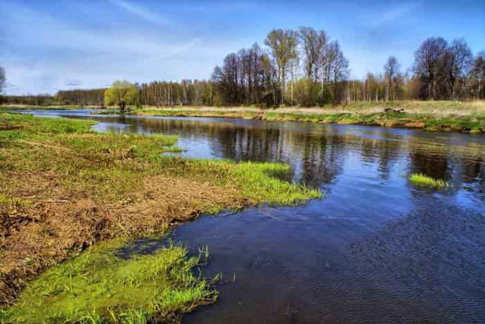 Новые правила рыболовства, Азовского, Волжского, Черноморского, Каспийского бассейна.