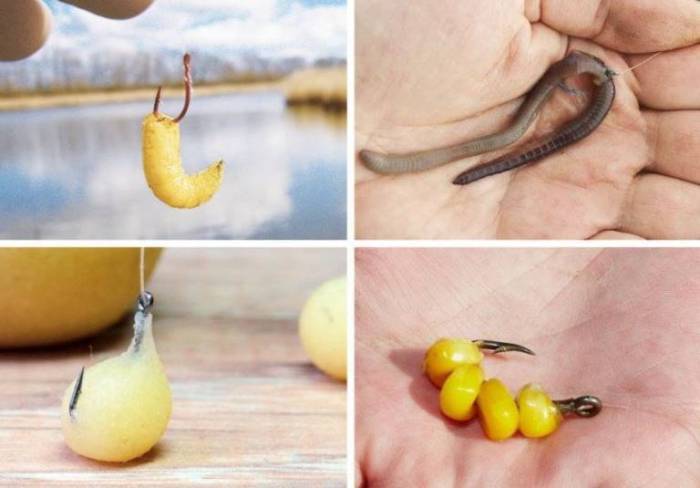 Снасти для ловли леща с лодки, описание, оснастка, советы