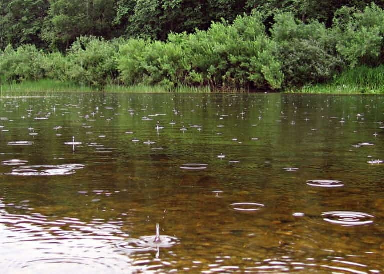 Что такое река – термин, определение, виды