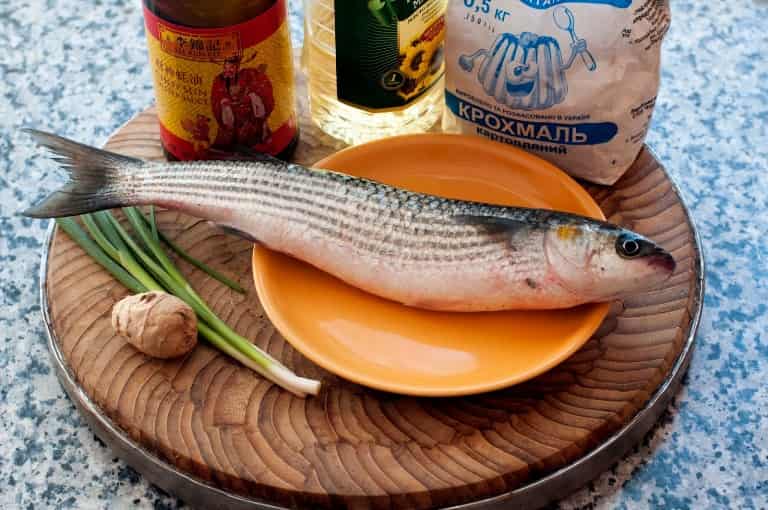 Кефаль что за рыба, как готовить, много ли костей, рецепты