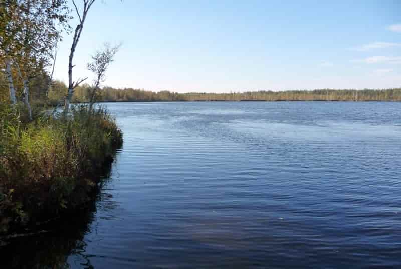 Платная рыбалка в Нижегородской области, Дзержинске, Криуши