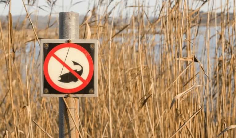 Запрет на рыбалку с какого числа начинается по областям