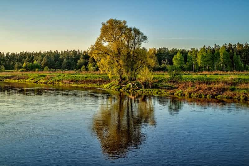 Уровень воды в Клязьма Ковров и Вязники на сегодня