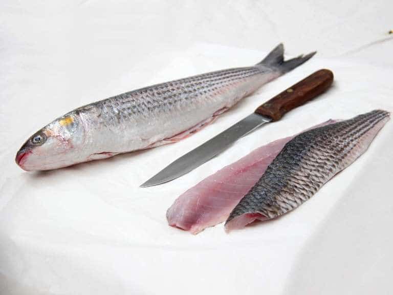 Кефаль что за рыба, как готовить, много ли костей, рецепты