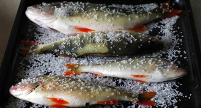 Как быстро почистить окуня от чешуи в домашних условиях