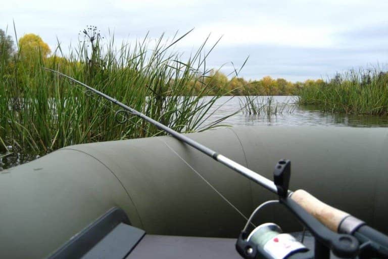 Запрет на рыбалку с какого числа начинается по областям