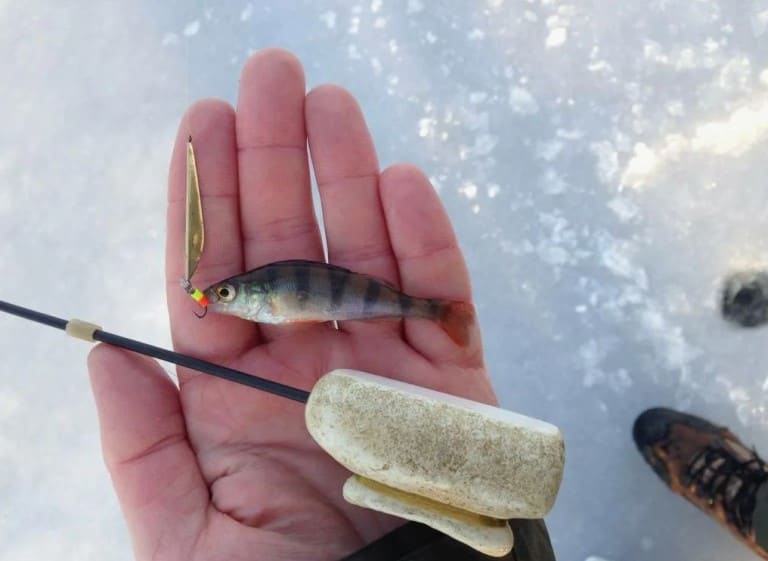 На что ловить маленького окуня, приманки и снасти
